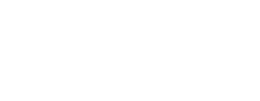 Chip